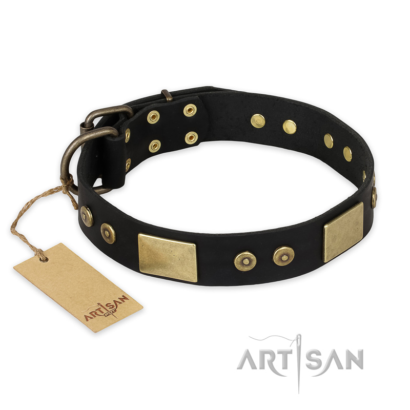 "Spanish night" FDT Artisan Fashionable Leather Walking English Pointer Collar