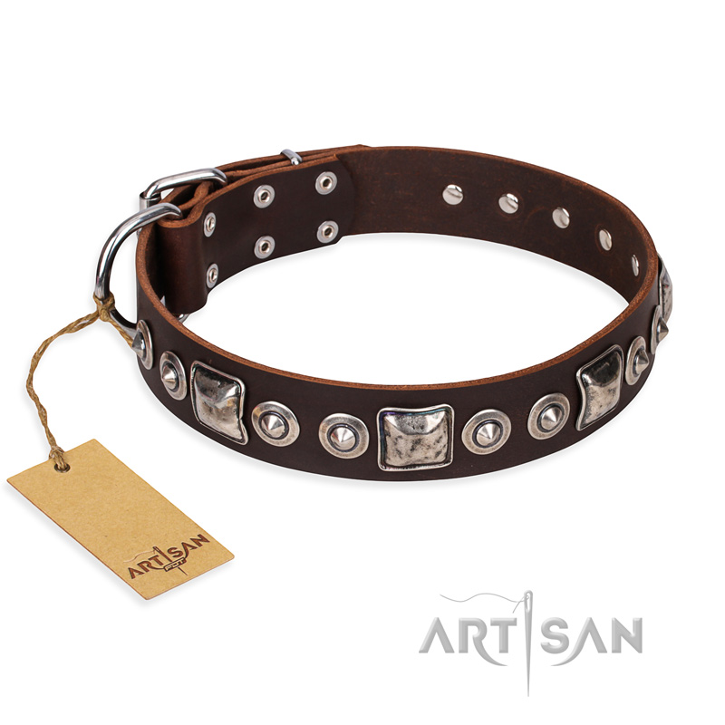 "Pierian spring" FDT Artisan Brown Leather English Pointer Collar with Silvery Decorations