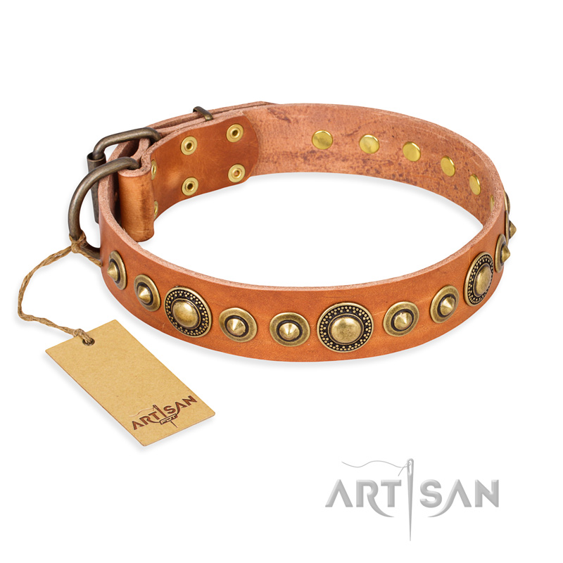 "Feast of Luxury" FDT Artisan Tan Leather English Pointer Collar with Old Bronze Look Circles