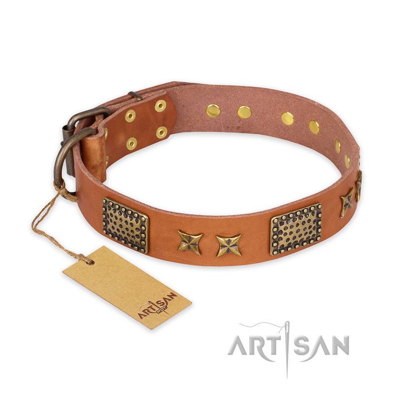 "Cosmic Traveller" FDT Artisan Adorned Leather English Pointer Collar with Old Bronze-Plated Stars and Plates