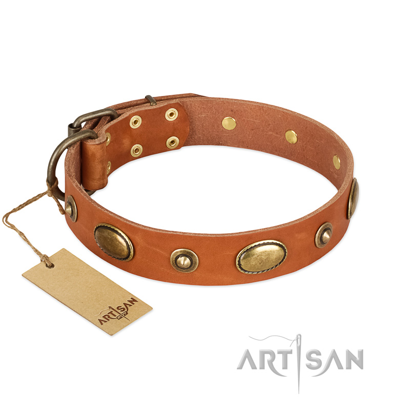 "Visual Magic" FDT Artisan Tan Leather English Pointer Collar for Daily Activities