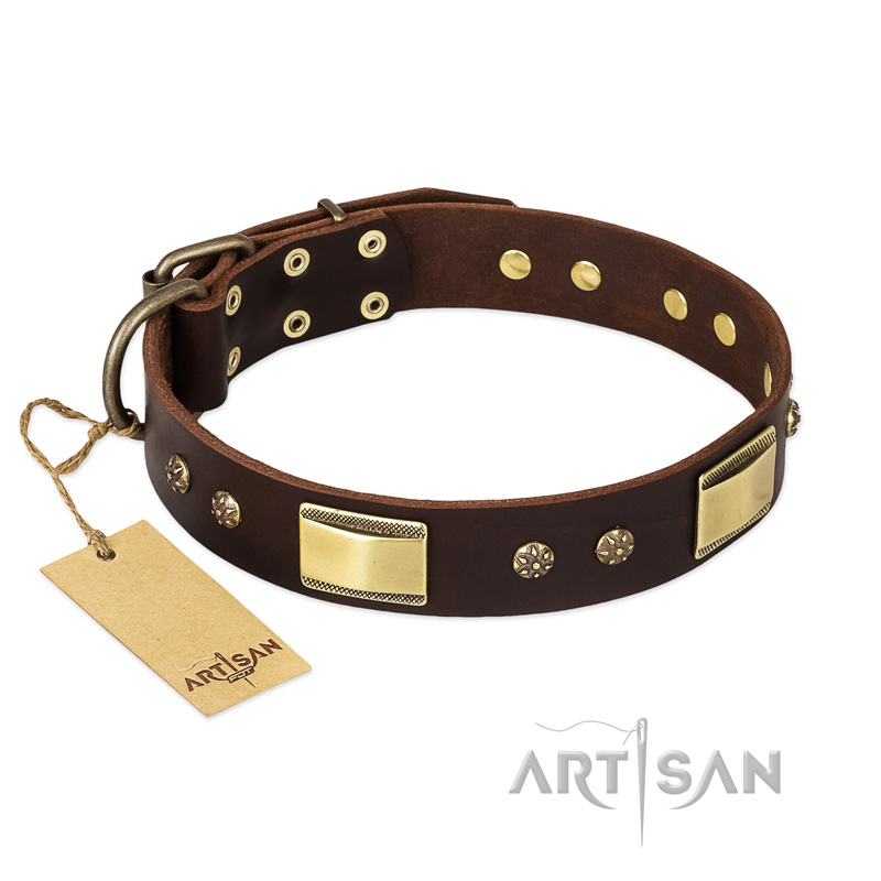 "Rich Fashion" FDT Artisan Decorated Leather English Pointer Collar with Plates and Studs