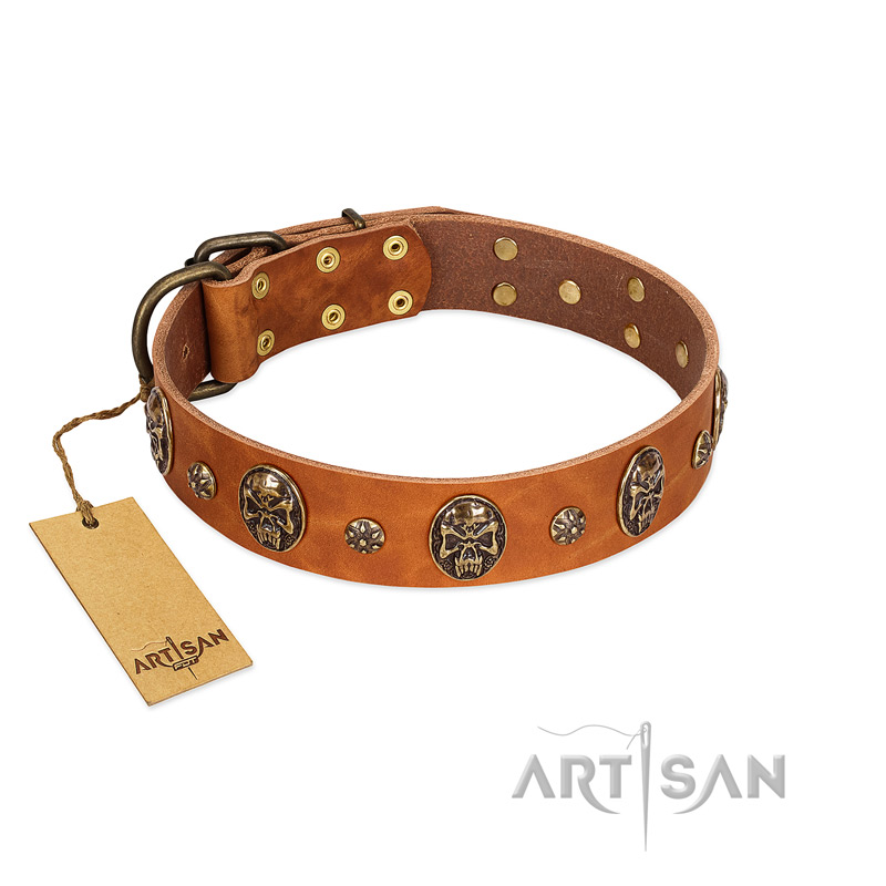 "Rockstar" FDT Artisan Tan Leather English Pointer Collar with Engraved Studs and Medallions