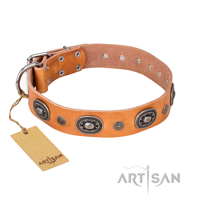 "Twinkle Twinkle" FDT Artisan Incredible Studded Tan Leather English Pointer Collar