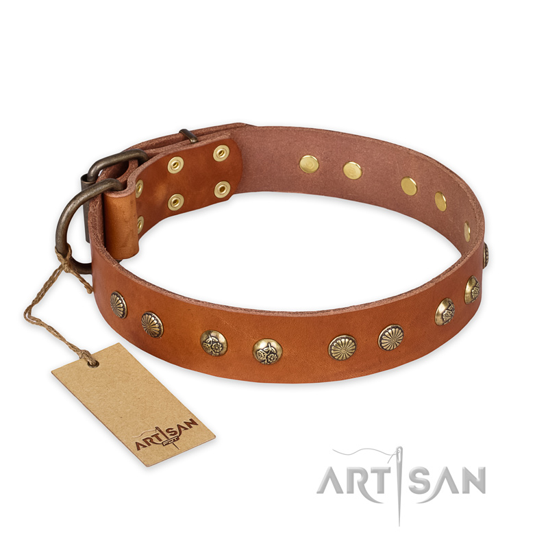 "Spring Flavor" FDT Artisan Adorned Leather English Pointer Collar with Old Bronze-Plated Engraved Studs
