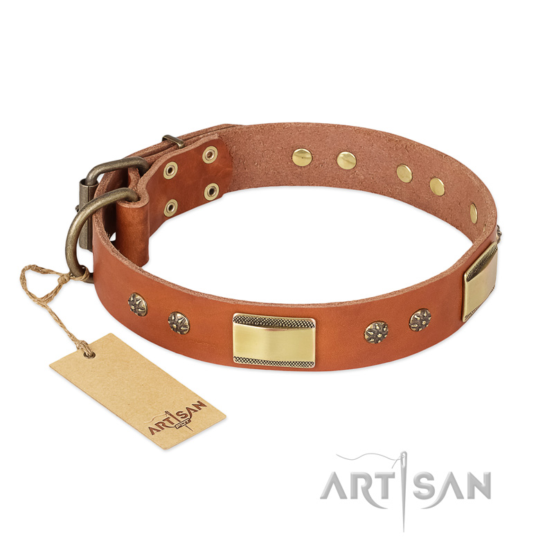 "Enchanting Spectacle" FDT Artisan Tan Leather English Pointer Collar with Old Bronze Look Plates and Round Studs