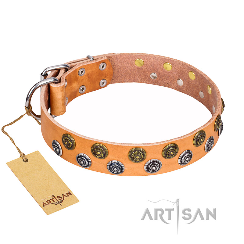 "Precious Sparkle" FDT Artisan Handcrafted Tan Leather English Pointer Collar