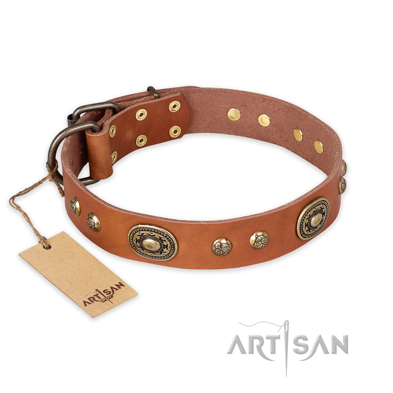 "Stunning Dress" FDT Artisan Tan Leather English Pointer Collar with Old Bronze Look Plates and Studs