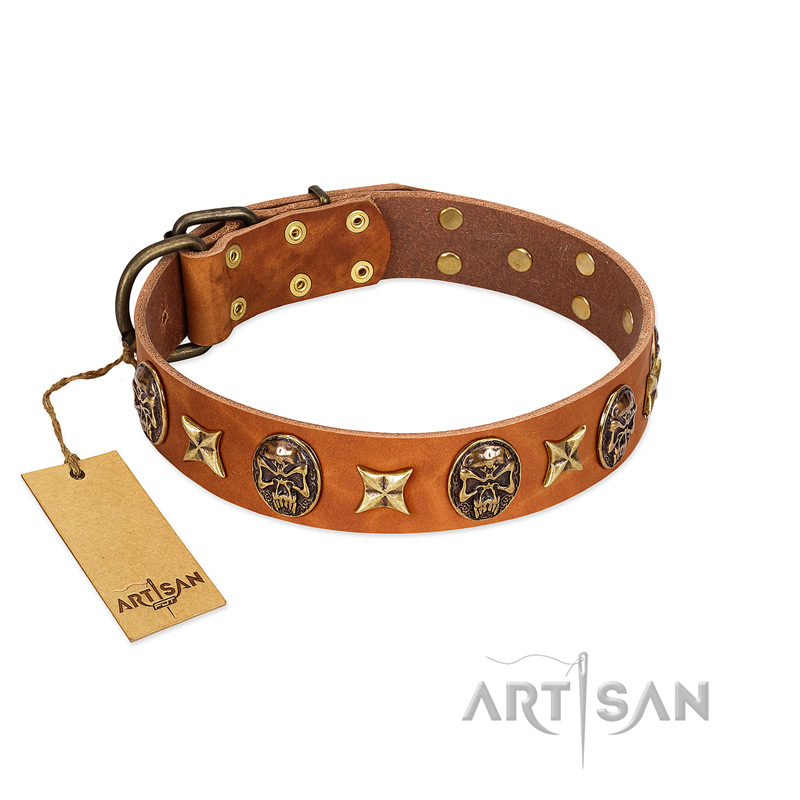 "Rockin' Doggie" FDT Artisan Tan Leather English Pointer Collar Adorned with Stars and Skulls