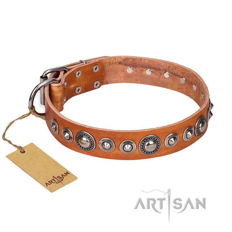 "Daily Chic" FDT Artisan Tan Leather English Pointer Collar with Decorations