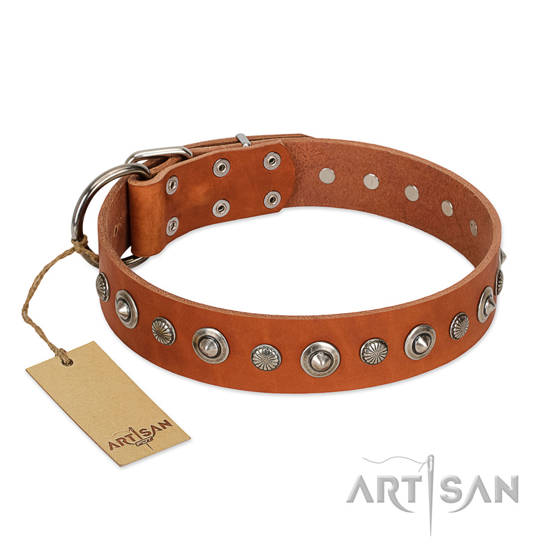 "Gorgeous Roundie" FDT Artisan Tan Leather English Pointer Collar with Chrome-plated Circles