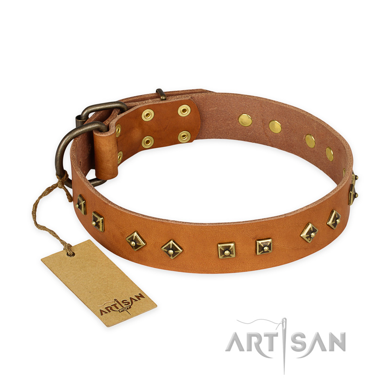 "Autumn Story" FDT Artisan Leather English Pointer Collar with Old Bronze Look Studs