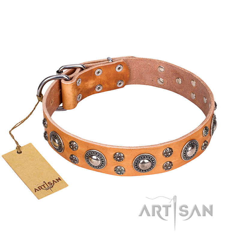 "Extra Sparkle" FDT Artisan Handcrafted Tan Leather English Pointer Collar