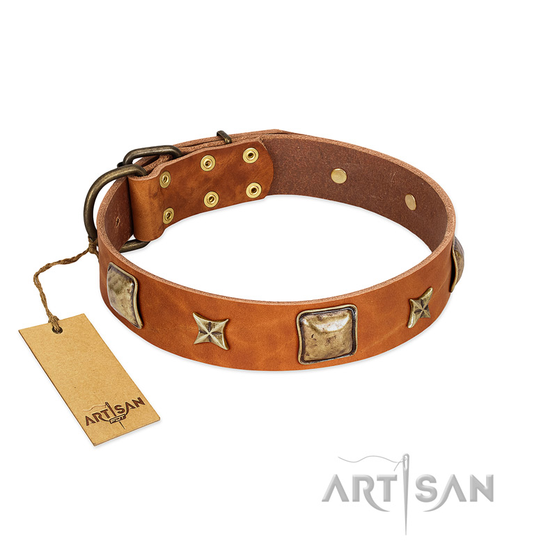 "Celtic Tunes" FDT Artisan Tan Leather English Pointer Collar Adorned with Stars and Squares