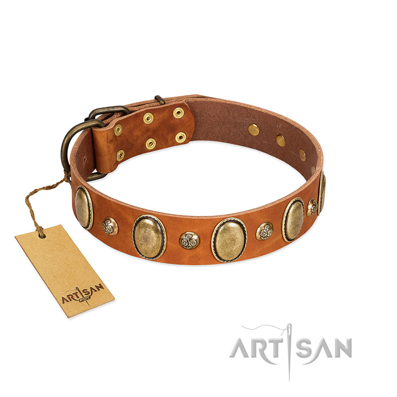 "Venus Breath" FDT Artisan Tan Leather English Pointer Collar with Vintage Looking Oval and Round Studs