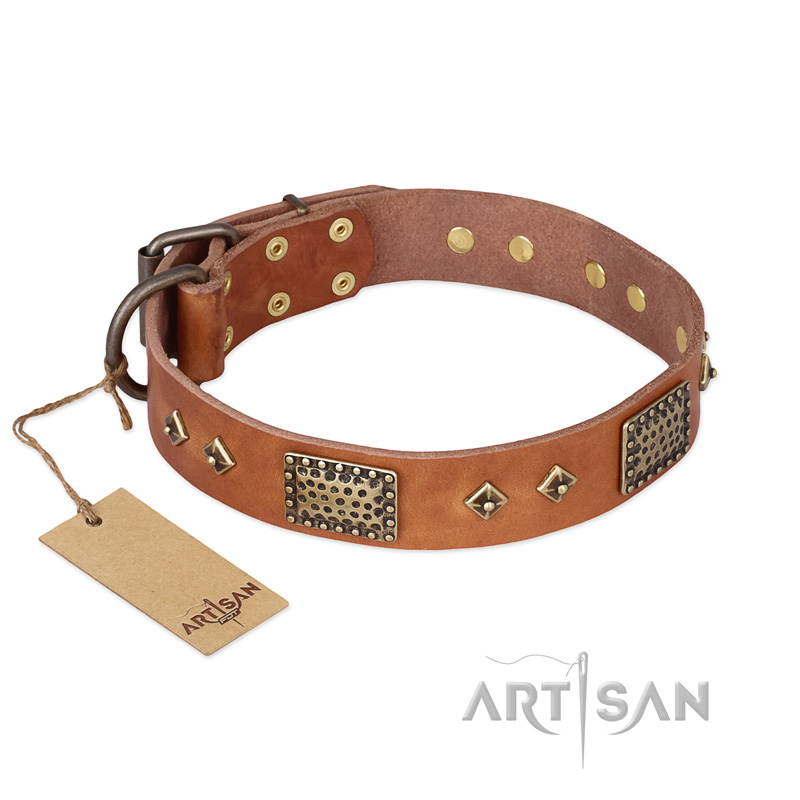"Catchy Look" FDT Artisan Decorated Tan Leather English Pointer Collar