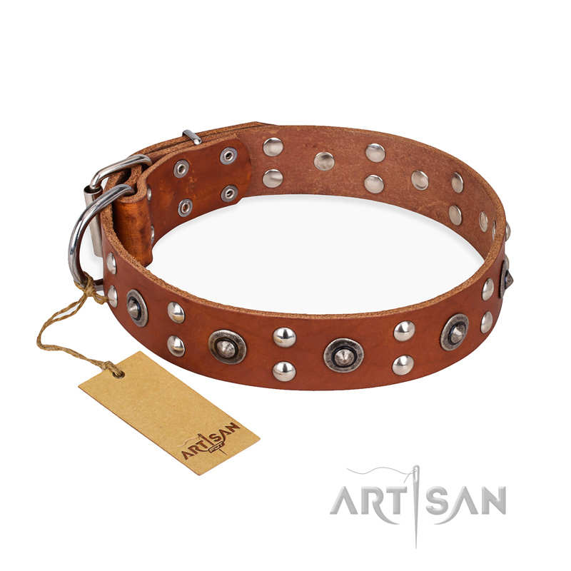 "Silver Elegance" FDT Artisan Decorated Leather English Pointer Collar with Old Silver-Like Plated Studs and Cones