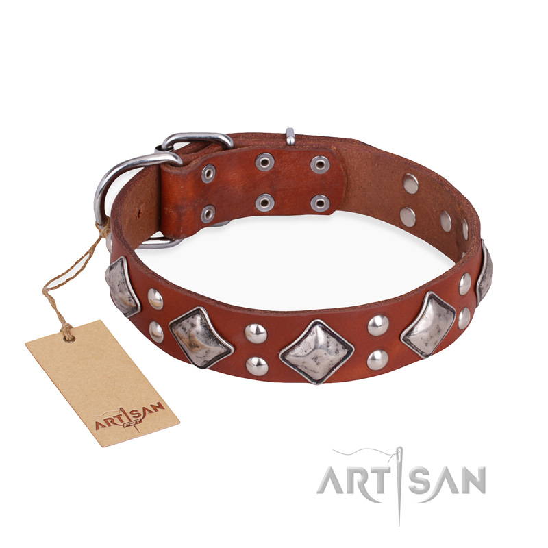 "Magic Squares" FDT Artisan Tan Leather English Pointer Collar with Silver-like Decor