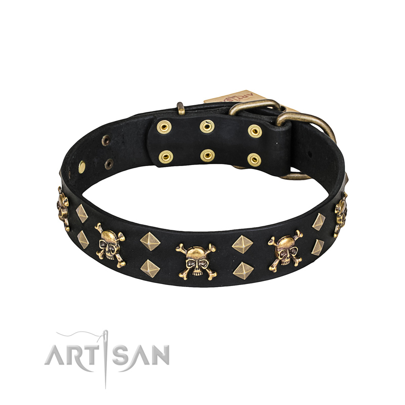 "Jolly Rojer" FDT Artisan Leather English Pointer Collar with Pirate Skulls and Studs - 1 1/2 inch (40 mm) wide