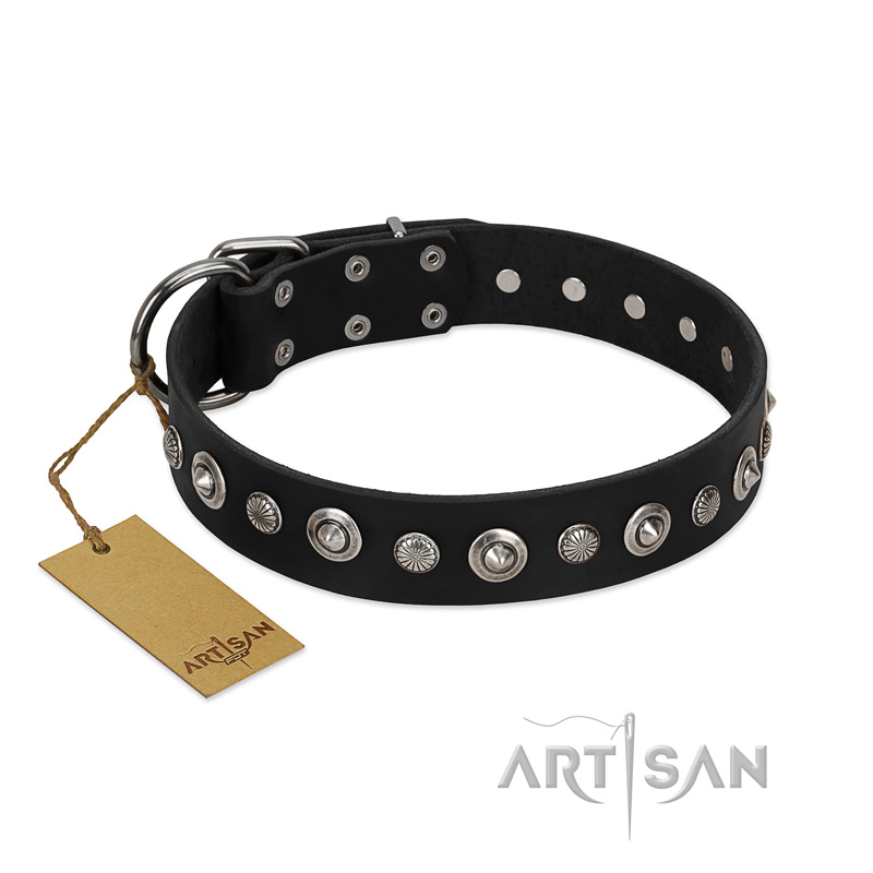 "Genteel Charm" FDT Artisan Black Leather English Pointer Collar with Silver-like Round Conchos