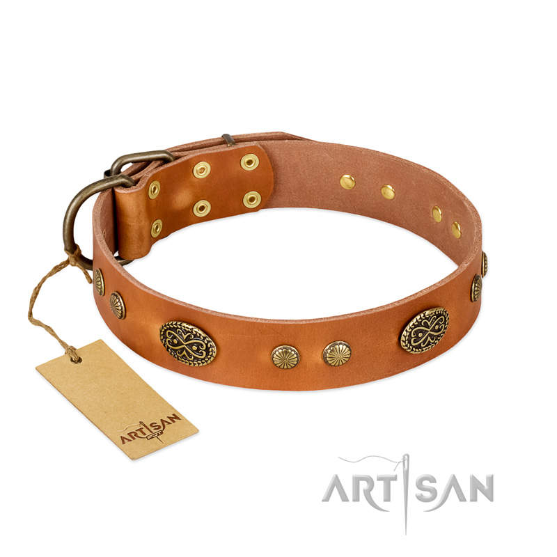 "Sun Beams" FDT Artisan Tan Leather English Pointer Collar with Decorations