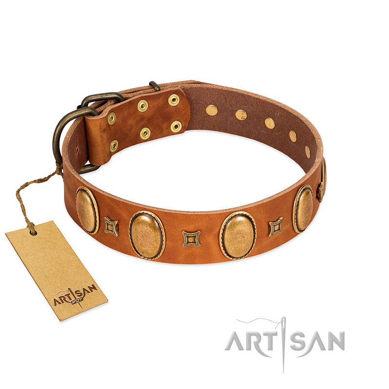 "Glossy Autumn" Designer Handmade FDT Artisan Tan Leather English Pointer Collar with Ovals and Studs