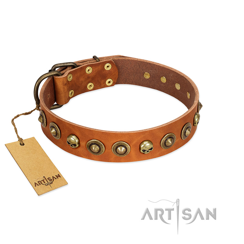 "Prez of the Pack" FDT Artisan Tan Leather English Pointer Collar with Skulls and Brooches