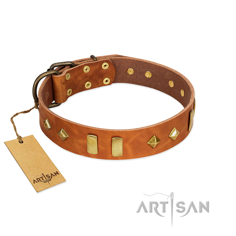 "Woofy Dawn" FDT Artisan Tan Leather English Pointer Collar with Plates and Rhombs