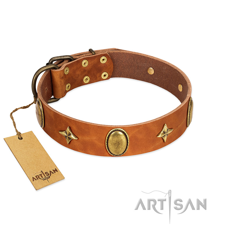 "Space Warrior" FDT Artisan Tan Leather English Pointer Collar with Ovals and Stars
