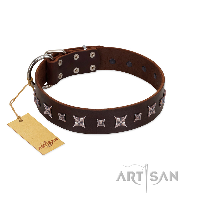 "Stellar Fairy " FDT Artisan Brown Leather English Pointer Collar with Chrome-plated Star-like Decorations