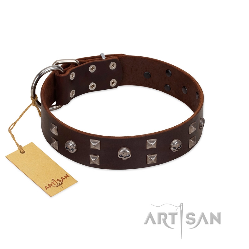 "Brown Shadow" Designer Handmade FDT Artisan Brown Leather English Pointer Collar