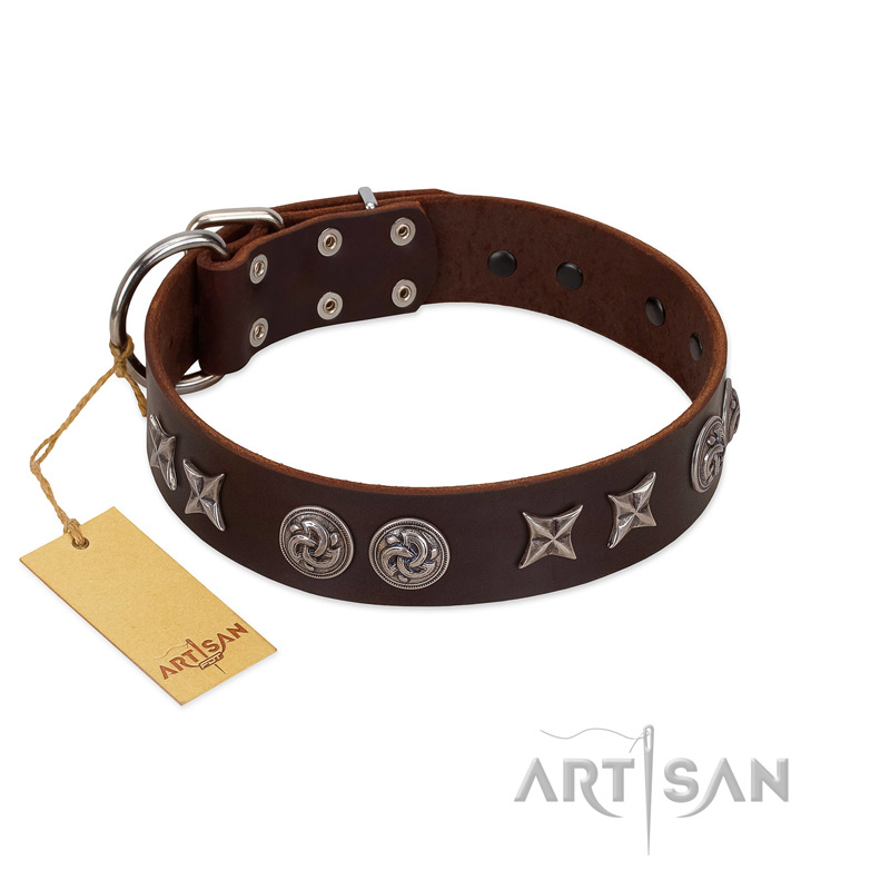 "Silver Sunset" Designer Handmade FDT Artisan Brown Leather English Pointer Collar
