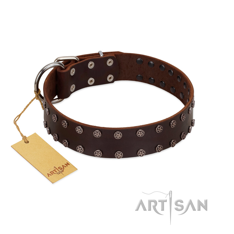 "Star Party" Handmade FDT Artisan Brown Leather English Pointer Collar with Silver-Like Studs