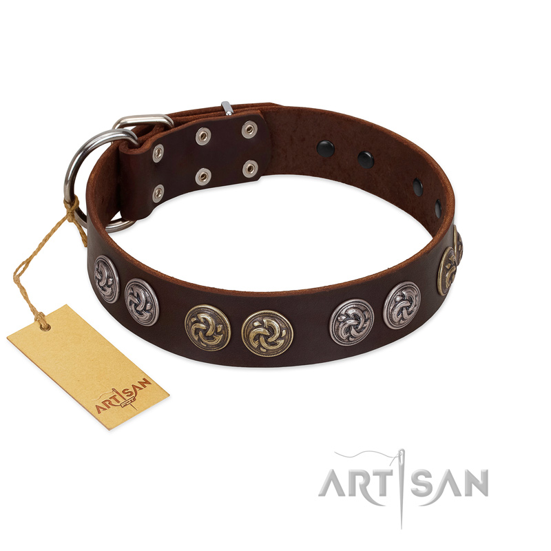 "Treasure Hunter" FDT Artisan Brown Leather English Pointer Collar with Old-Bronze-like and Silvery Medallions
