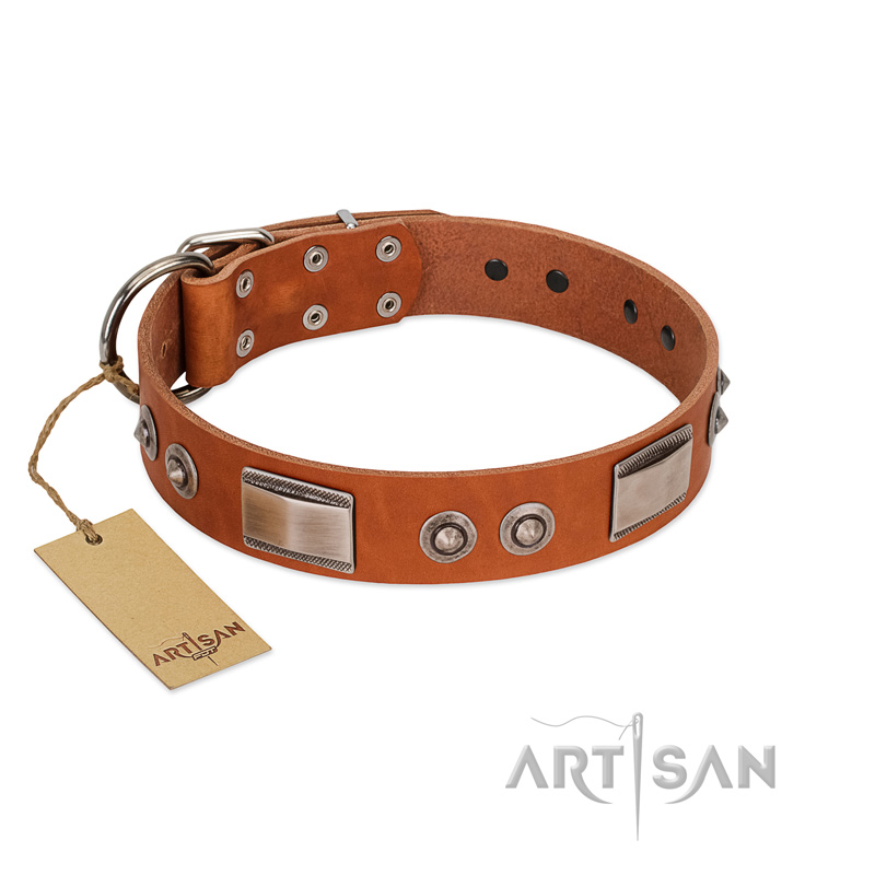 "Pawsy Glossy" FDT Artisan Exclusive Tan Leather English Pointer Collar 1 1/2 inch (40 mm) wide - Click Image to Close