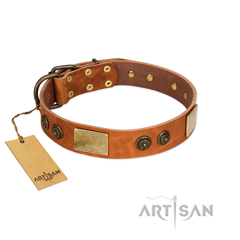"Bronze Century" FDT Artisan Tan Leather English Pointer Collar with Plates and Brooches with Cool Ornament