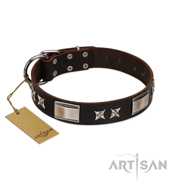"Satin Beauts" FDT Artisan Brown Leather English Pointer Collar with Stars and Plates