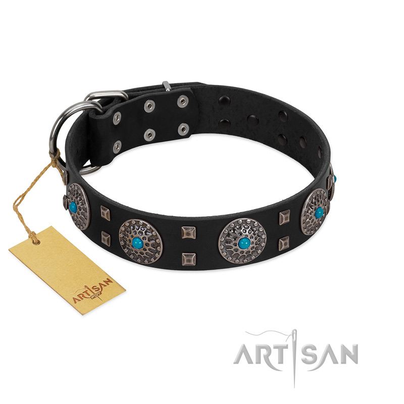 "Boundless Blue" FDT Artisan Black Leather English Pointer Collar with Chrome Plated Brooches and Square Studs