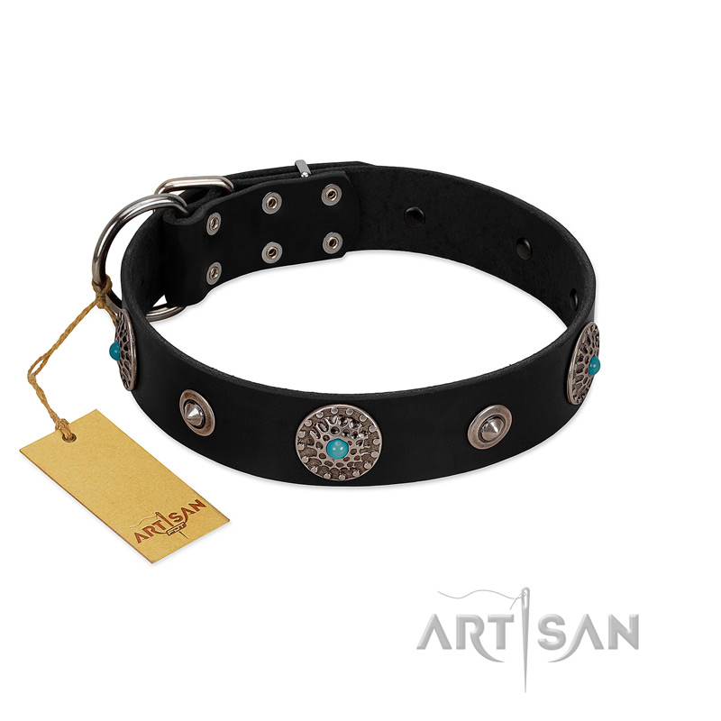 "Blue Gems" FDT Artisan Black Leather English Pointer Collar with Chrome Plated Studs and Conchos