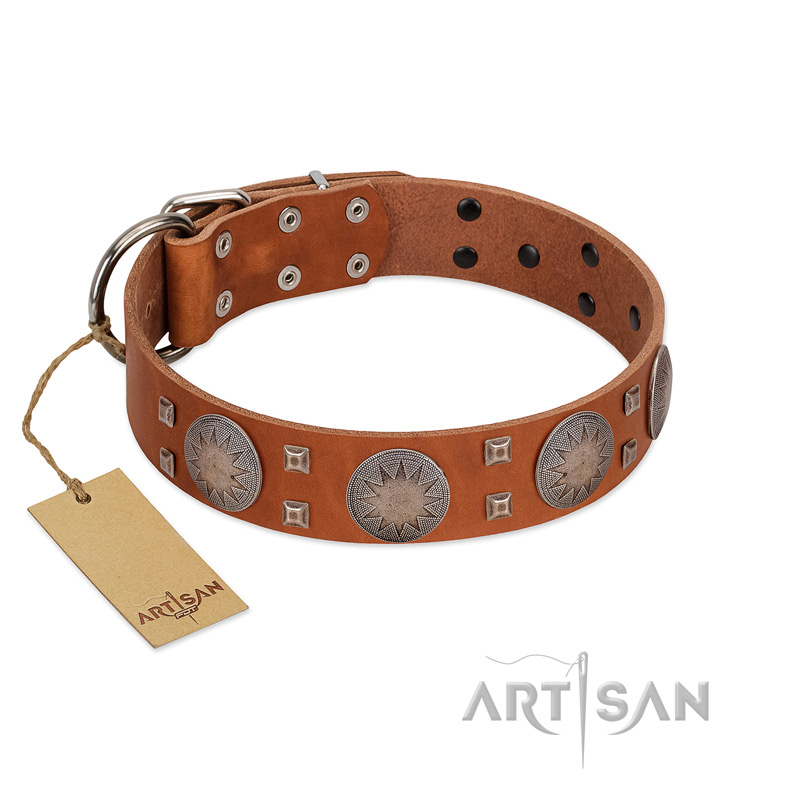 "Sun Rise Noon" FDT Artisan Tan Leather English Pointer Collar with Unique Design