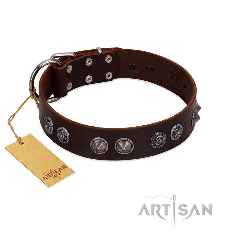 "King Arthur" FDT Artisan Brown Leather English Pointer Collar with Spiky Plates