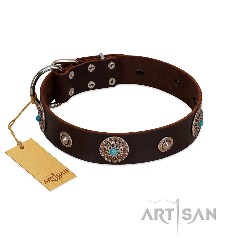 "Magic Stones" FDT Artisan Brown Leather English Pointer Collar with Chrome Plated Brooches and Studs