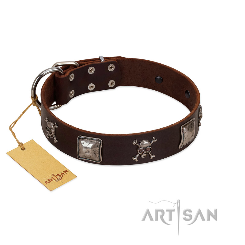 "Nut-Brown Finery" Embellished FDT Artisan Brown Leather English Pointer Collar with Chrome Plated Crossbones and Plates