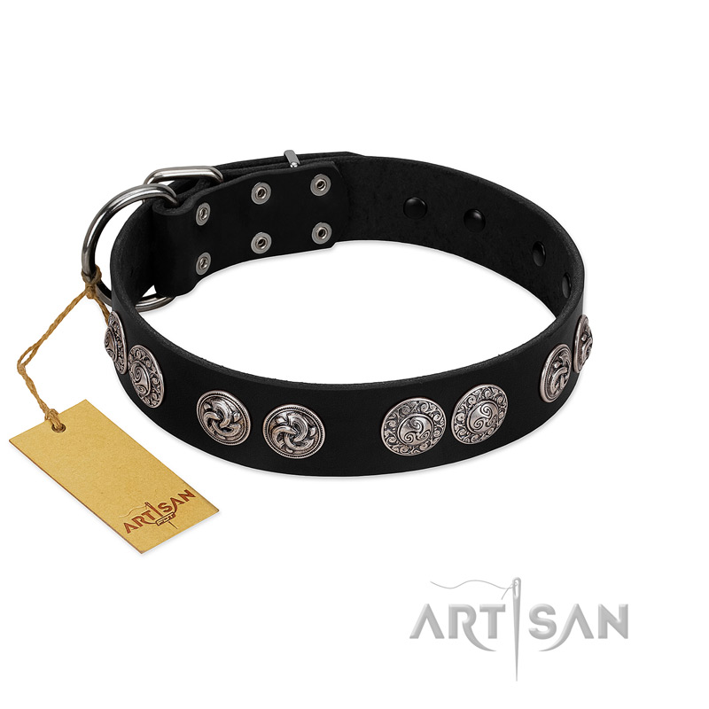 "Magic Amulete" Handcrafted FDT Artisan Black Leather English Pointer Collar with Chrome-Plated Shields