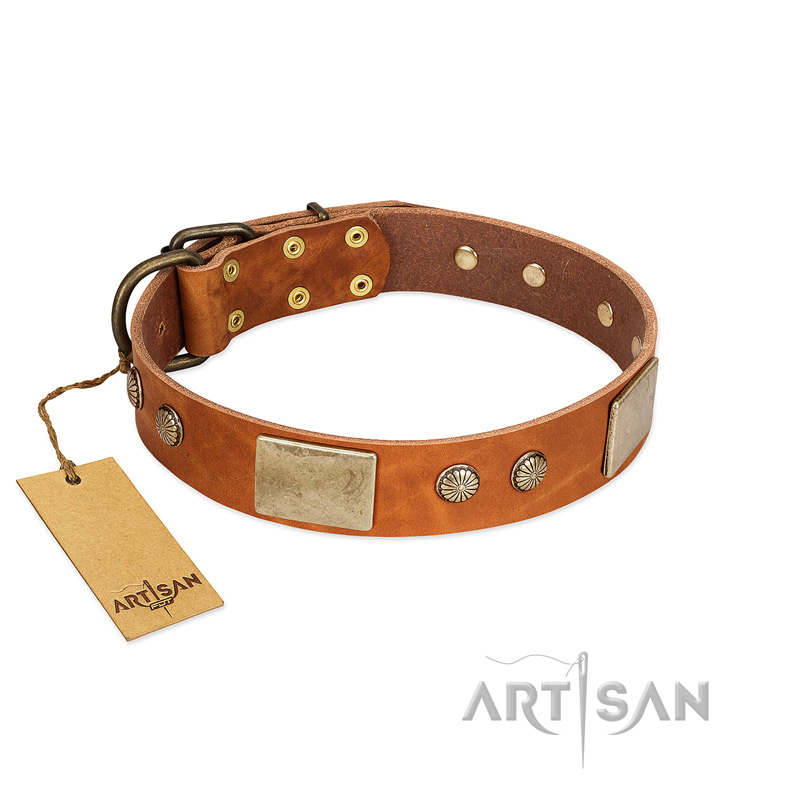 "Ancient Treasures" FDT Artisan Tan Leather English Pointer Collar with Antiqued Plates and Studs