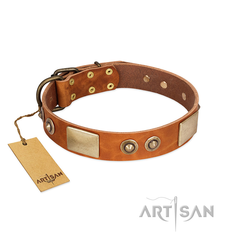 "Perfect Blend" FDT Artisan Tan Leather English Pointer Collar 1 1/2 inch (40 mm) wide
