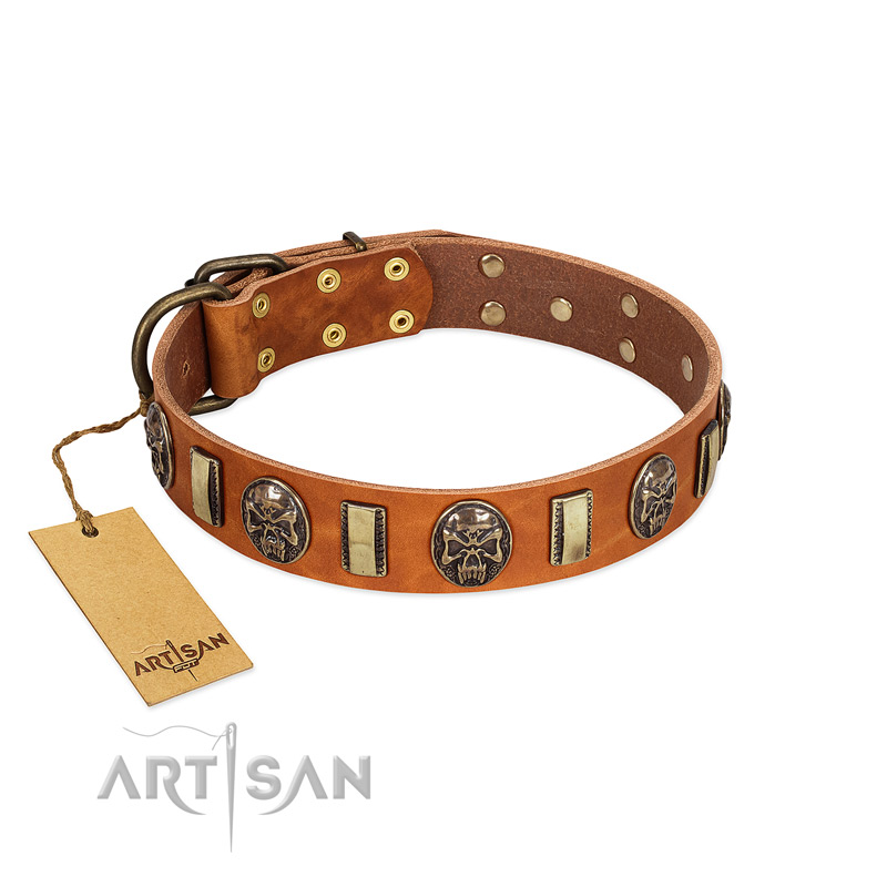 "Strike of Rock" FDT Artisan Tan Leather English Pointer Collar with Plates and Medallions with Skulls