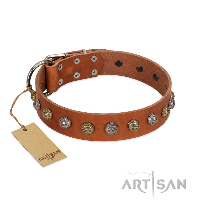 "Dogue-Vogue" FDT Artisan Tan Leather English Pointer Collar with Engraved Chrome-plated Studs