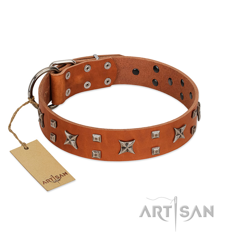 "Faraway Galaxy" FDT Artisan Tan Leather English Pointer Collar Adorned with Stars and Squares
