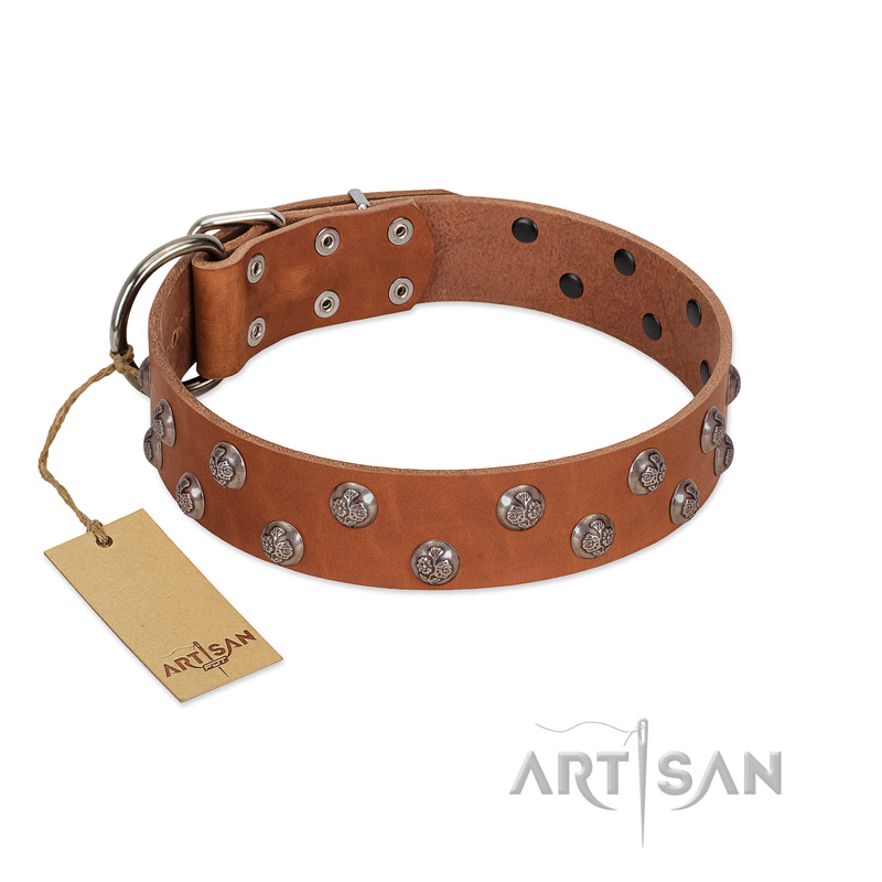 "Waltz of the Flowers" Handmade FDT Artisan Tan Leather English Pointer Collar with Chrome-plated Engraved Studs